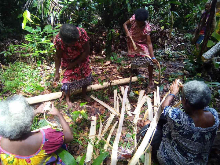 Papua New Guinean weavers in the forest harvesting tree bark for making bilum string.