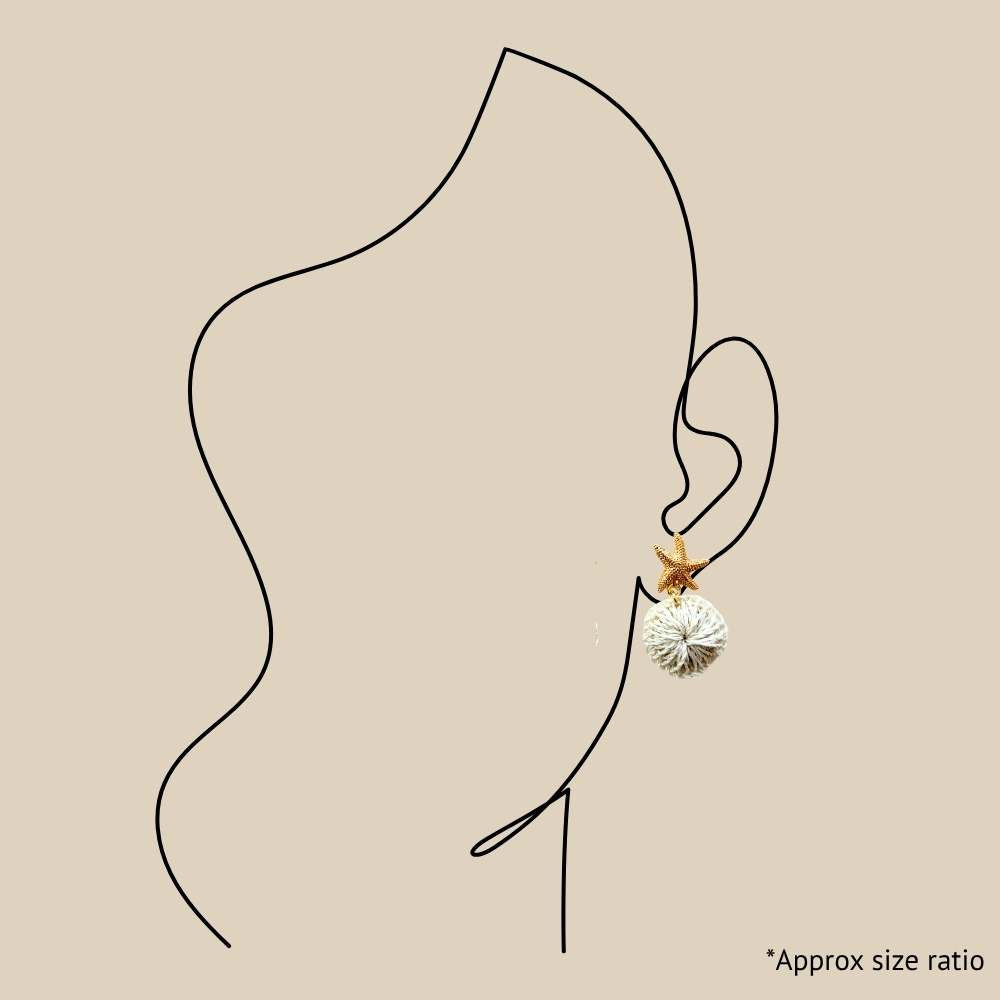 Natural Star Fish Stud Earrings