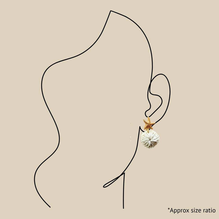 Natural Star Fish Stud Earrings