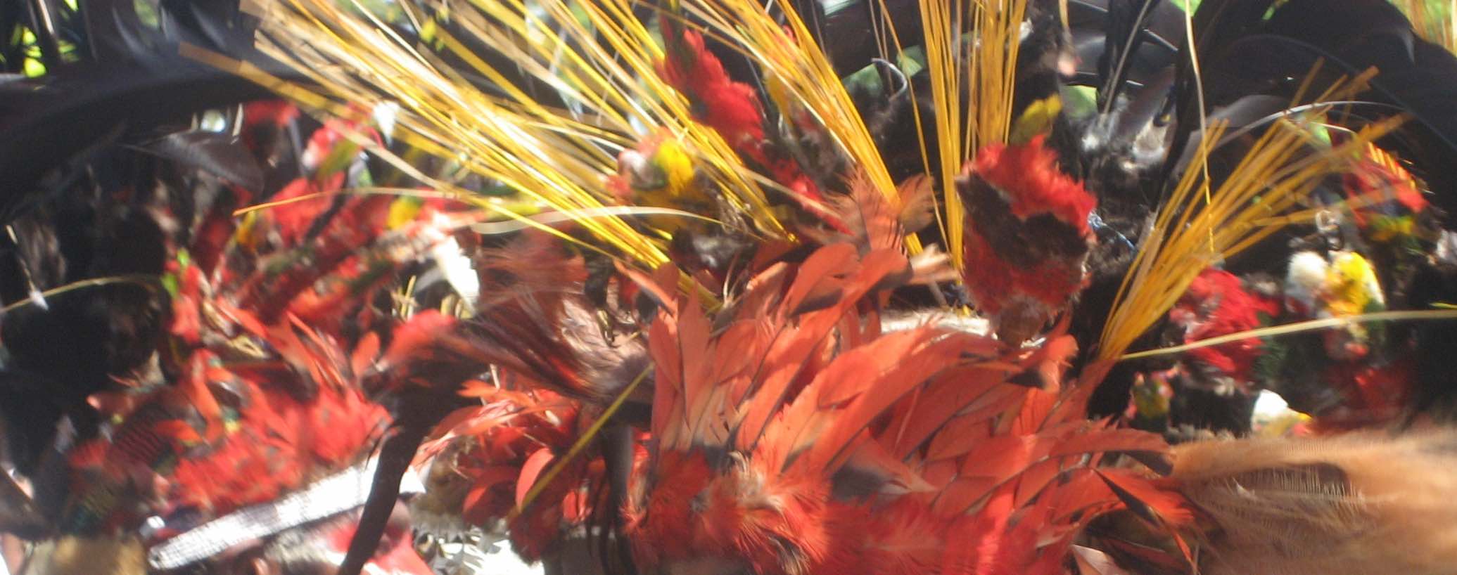 Red feathers in a headress from Papua New Guinea