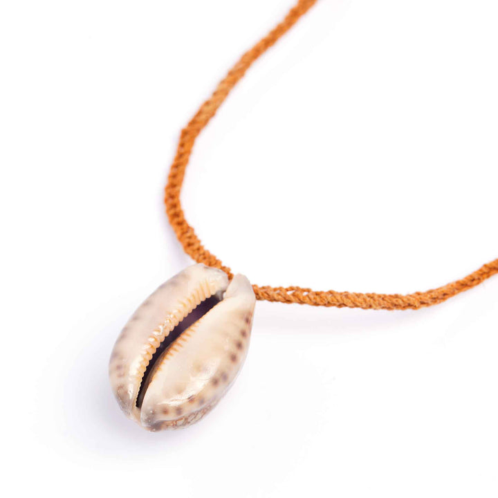 Shell pendant on a cord against a white background