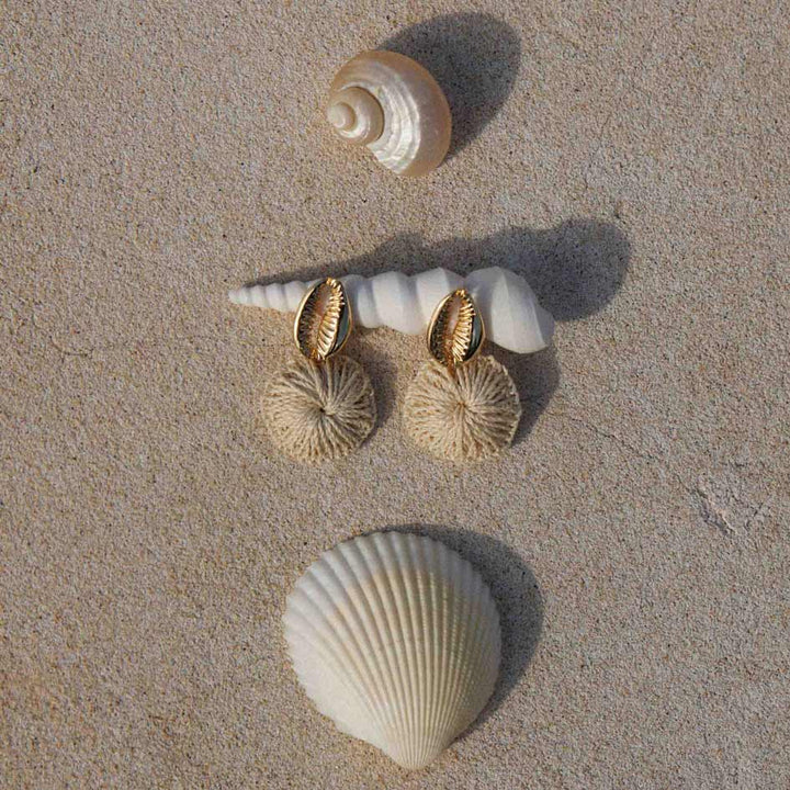 Shell-shaped earrings on a sandy surface with natural light
