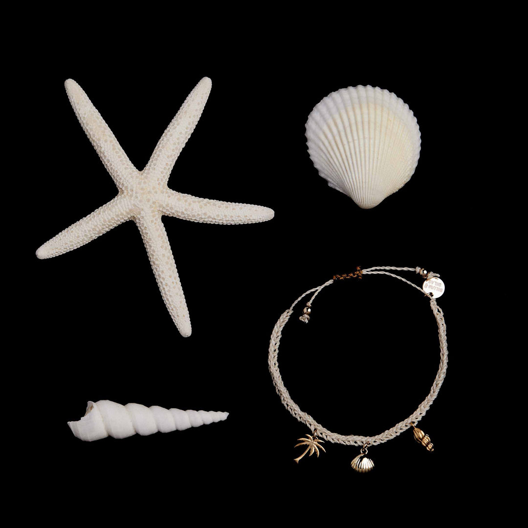 Bracelet with shell charms on a black background with starfish and shells.
