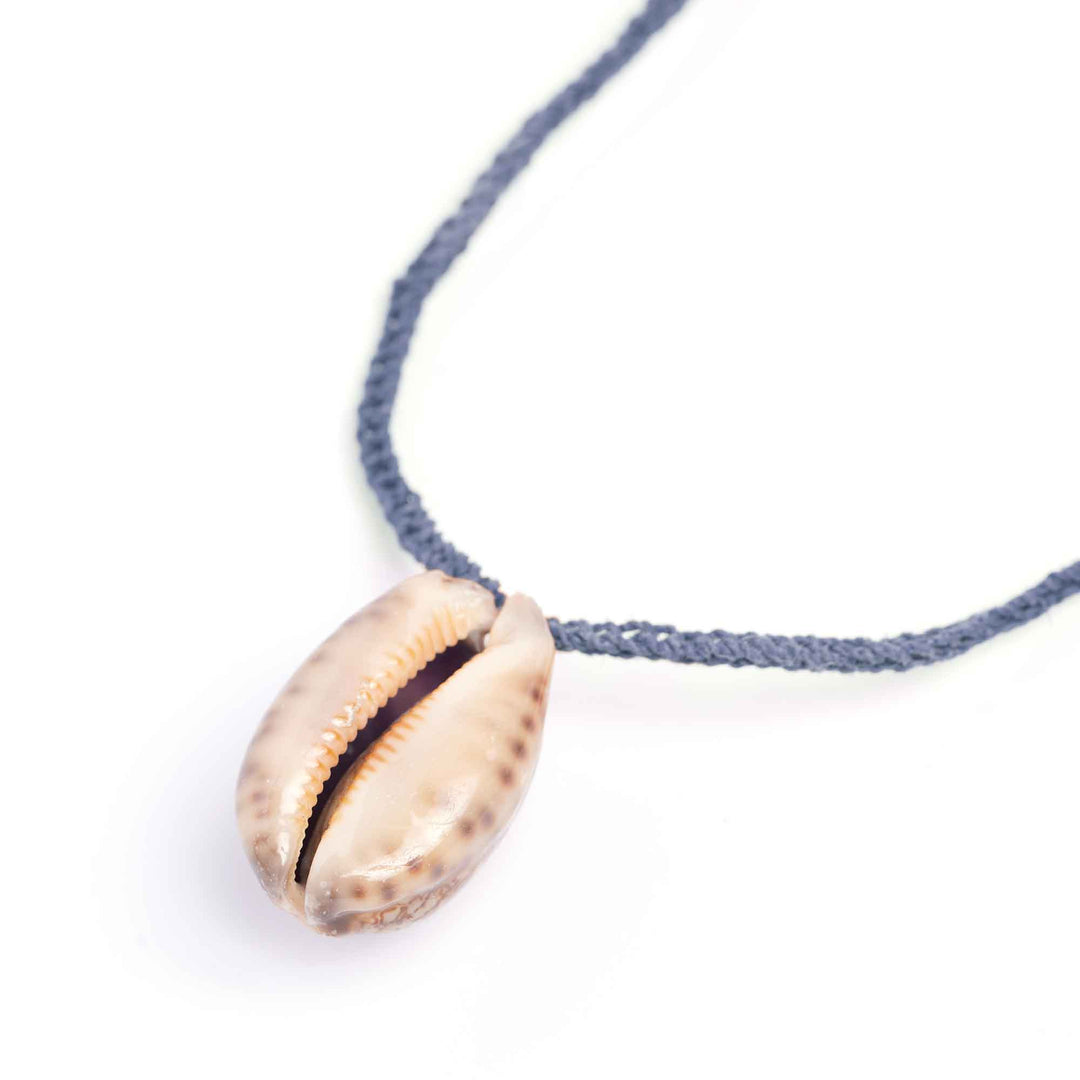 Necklace with a shell pendant on a white background