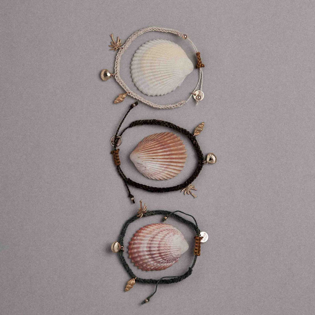 Three shell-themed bracelets on a gray background