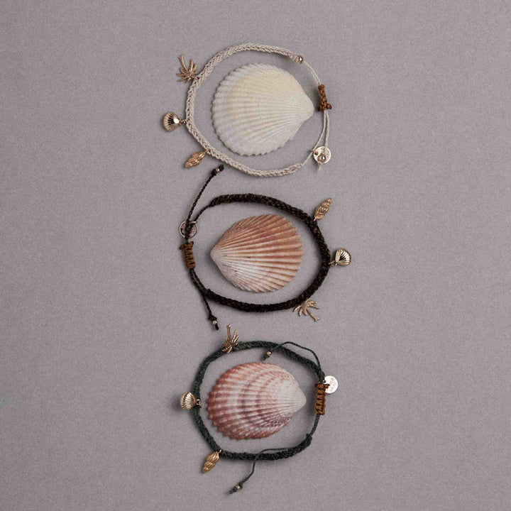 Three shell-themed bracelets on a gray background
